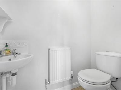 Picture 23